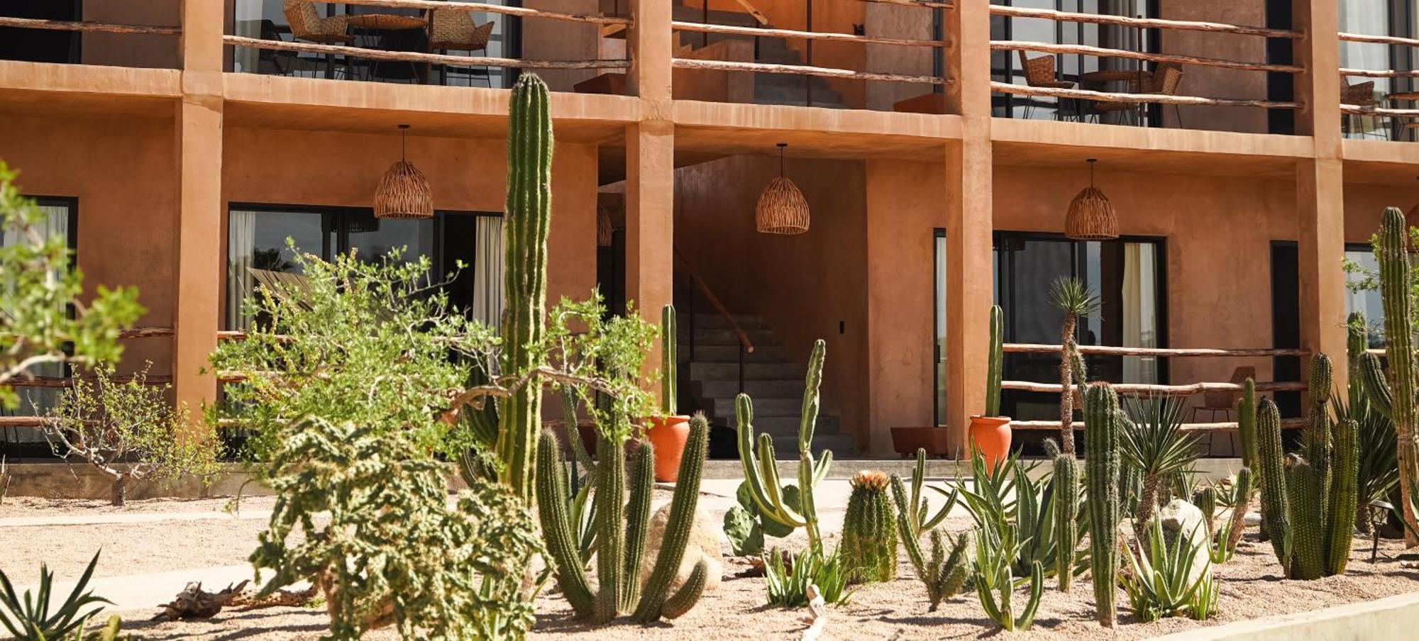 Baja Temple Hotel Todos Santos Exterior photo