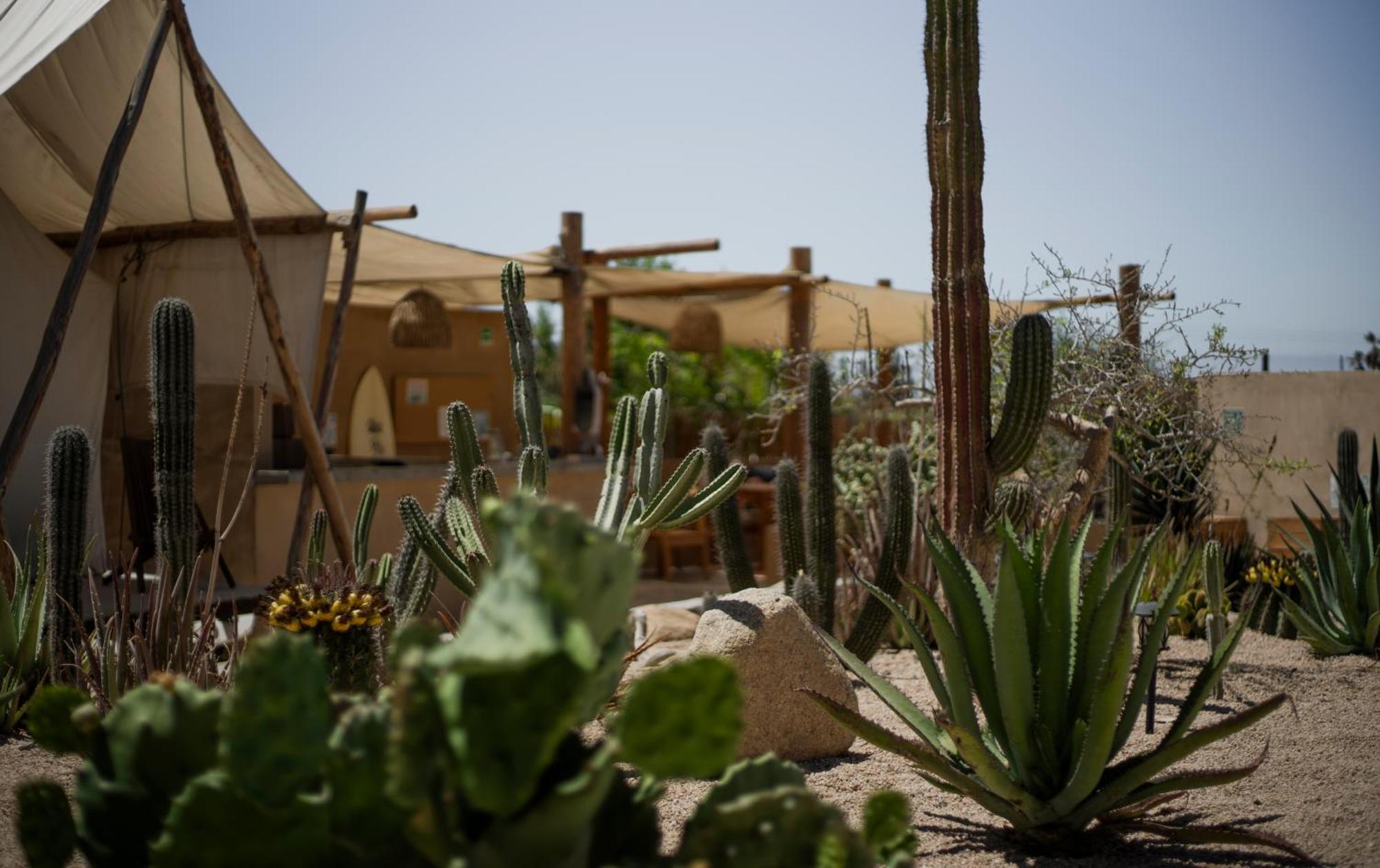 Baja Temple Hotel Todos Santos Exterior photo